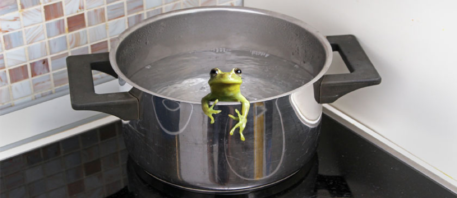 Boiling the frog of achieving culture in an incumbent world